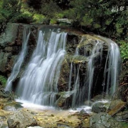 La Candela Cercedilla Buitenkant foto